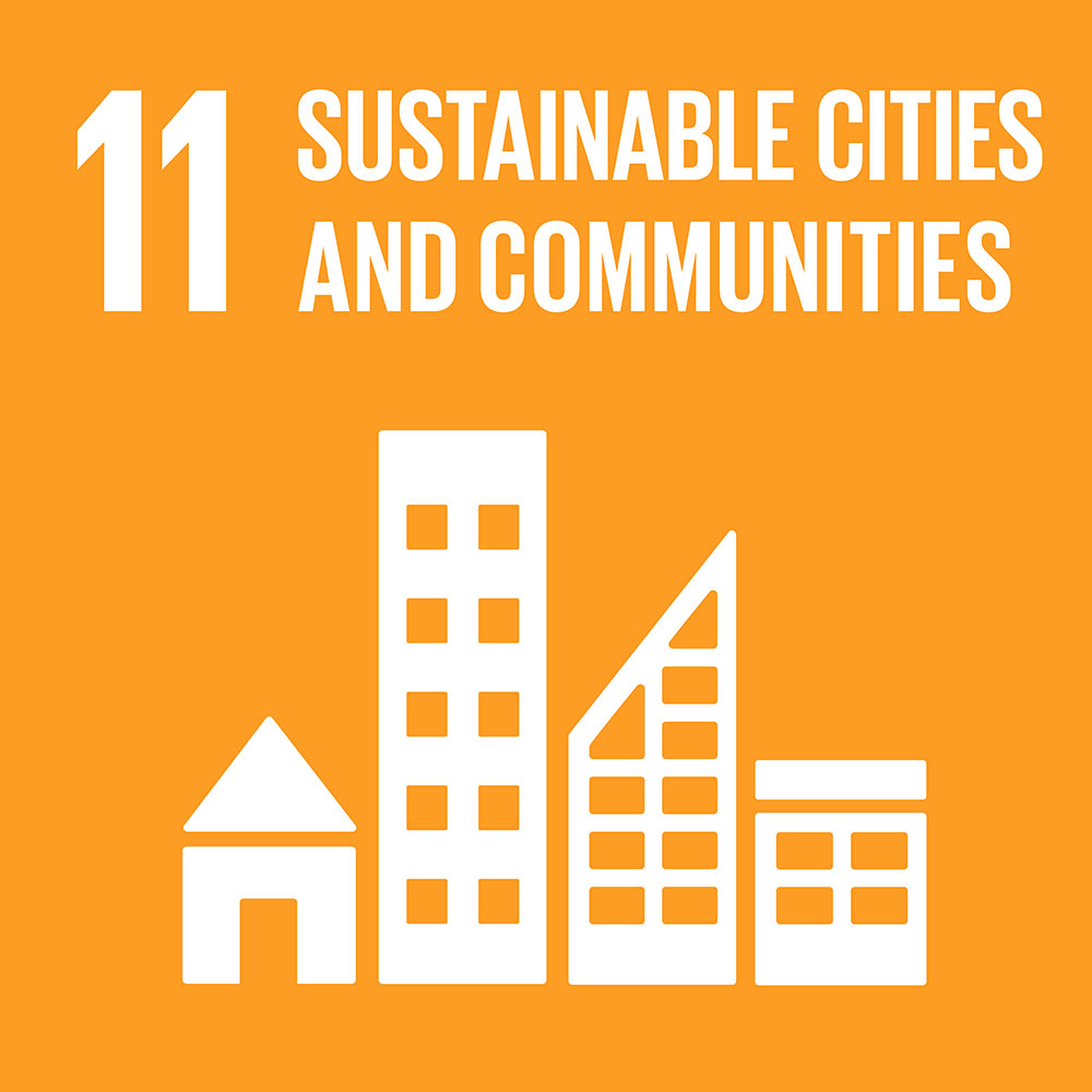 SDG-11