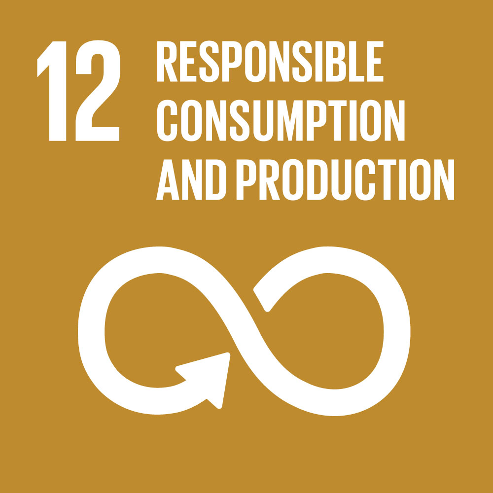 SDG-12