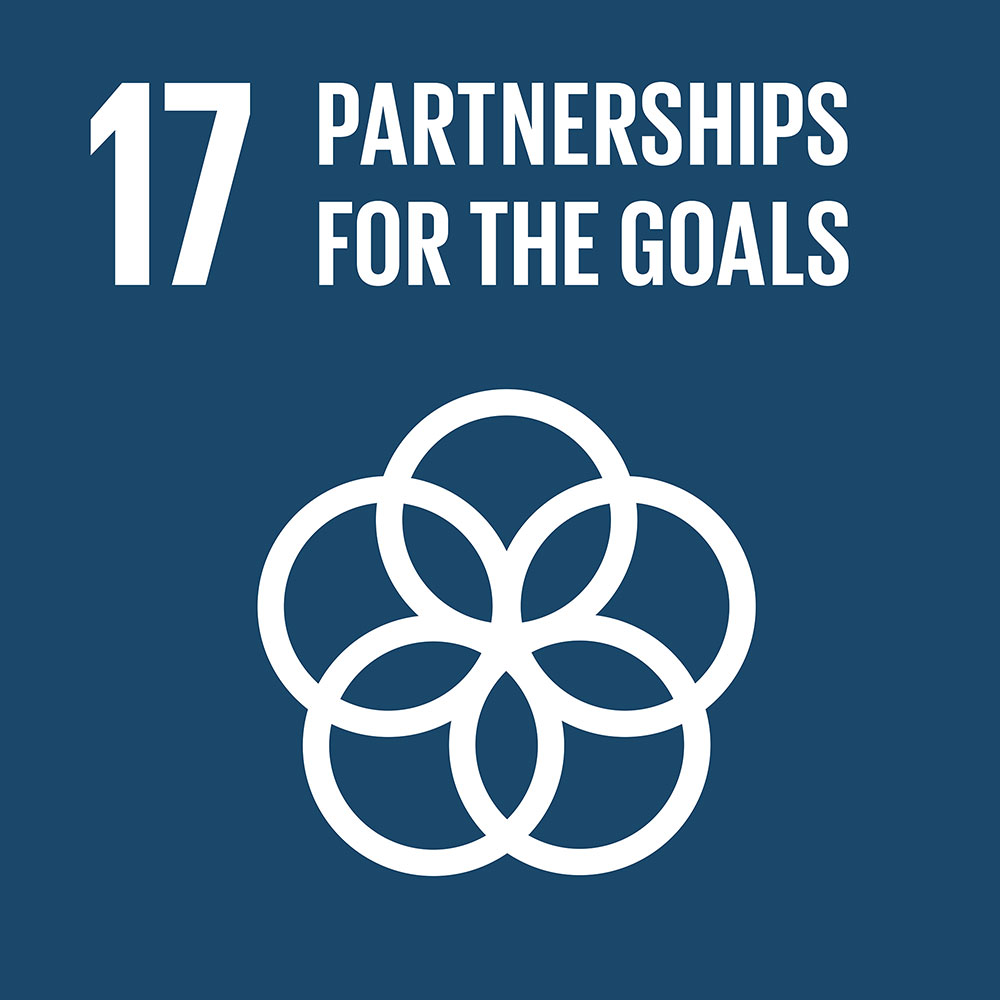 SDG-17